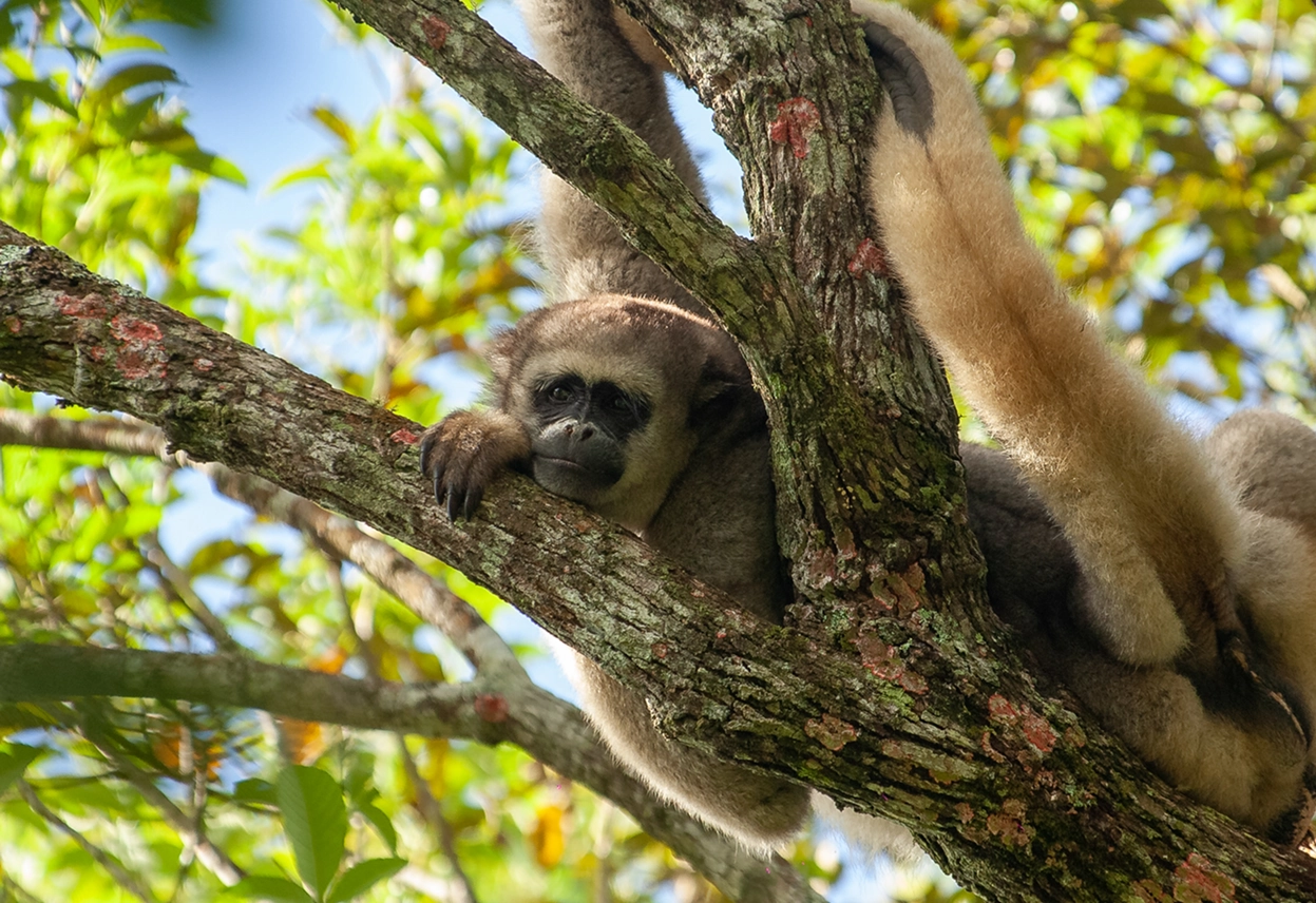 <b>Sossego do Muriqui</b> Reserve.