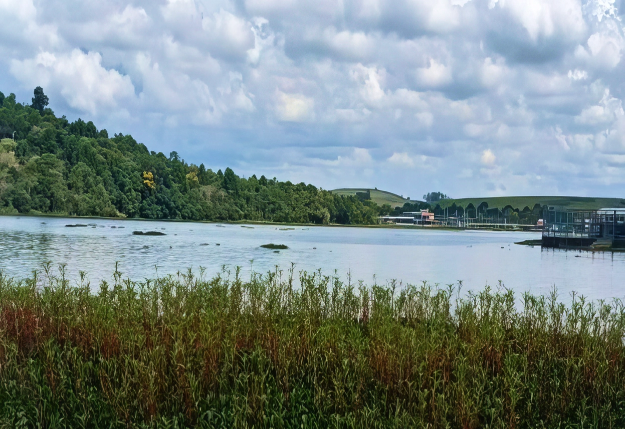<b>Environmental</b> Project <b>with Local Community</b>.