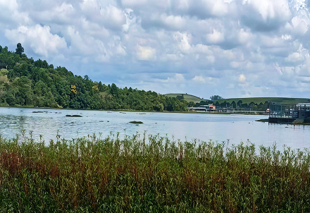 <b>Environmental</b> Project <b>with Local Community</b>.